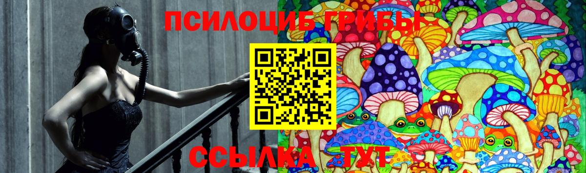 Галлюциногенные грибы Cubensis  Вход с VPN  магазин продажи наркотиков  Будённовск 